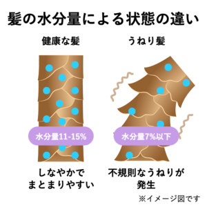 髪の水分量による状態の違い