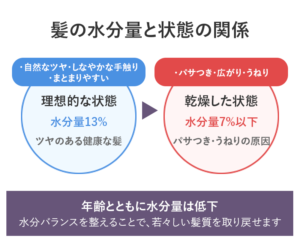 水分バランス図：髪の健康状態と水分量の関係を示す図