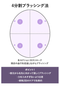 4分割ブラッシング法の図解：頭部を4つに分けてブラッシングする方法を示す図