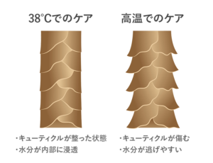 30℃の温度管理による効果