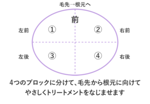 トリートメントの塗布手順と4つのブロック分け